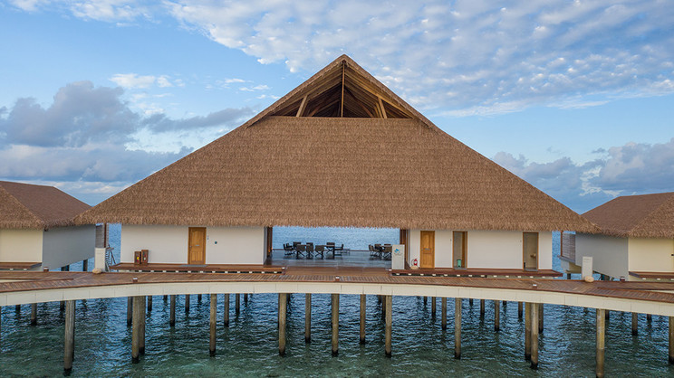 Cinnamon Velifushi